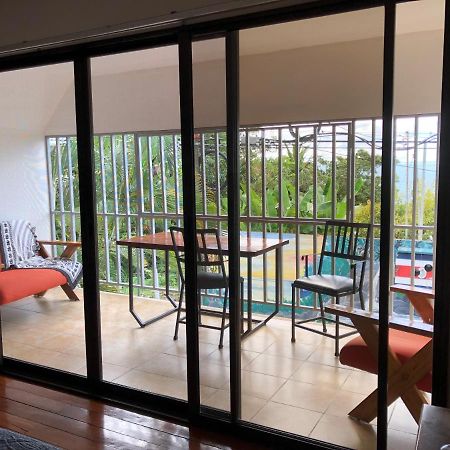Cockatoo Studio Apartments Manuel Antonio Kültér fotó