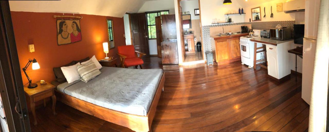 Cockatoo Studio Apartments Manuel Antonio Kültér fotó